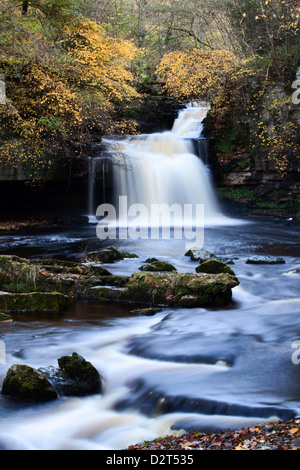 West Burton Waterfall in autumn, Wensleydale, North Yorkshire, England, United Kingdom, Europe Stock Photo