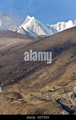 Dudh Kosi Valley, Solu Khumbu (Everest) Region, Nepal, Himalayas, Asia Stock Photo