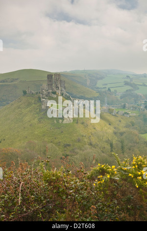 The ruins of Corfe Castle, Dorset, England, United Kingdom, Europe