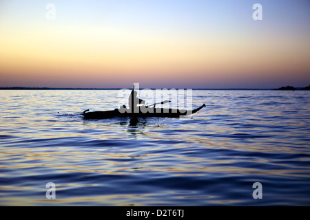 Fisherman in a papyrus boat, Lake Tana, Ethiopia, Africa Stock Photo