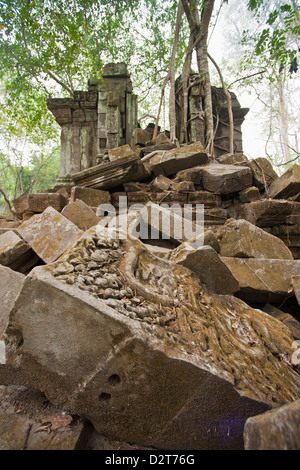 Ta Prohm Temple, Angkor, UNESCO World Heritage Site, Siem Reap, Cambodia, Indochina, Southeast Asia, Asia Stock Photo