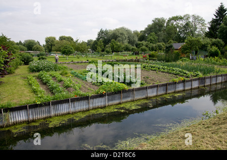 Hortillonnages vegetable garden Amiens Stock Photo