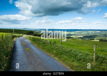 Narrow single-track road beside Eggardon Hill hill-fort, heading towards Powerstock, with rolling countryside views of west Dorset, England Stock Photo