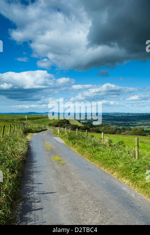 Narrow single-track road beside Eggardon Hill hill-fort, heading towards Powerstock, with rolling countryside views of west Dorset, England Stock Photo