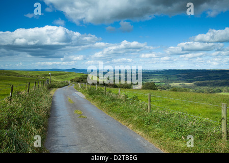 Narrow single-track road beside Eggardon Hill hill-fort, heading towards Powerstock, with rolling countryside views of west Dorset, England Stock Photo