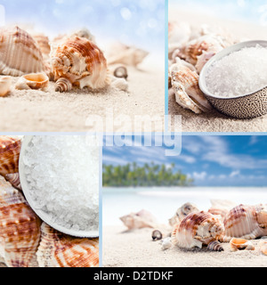 Sea salt and shells on sea beach , saved clipping path. Stock Photo