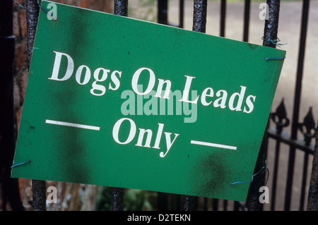 Stained and lopsided green plastic sign wired to ornate wrought iron gates stating Dogs On Leads Only Stock Photo