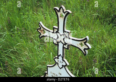 Detail of metal Maltese Cross style grave marker painted white and black in field of backlit long grass Stock Photo