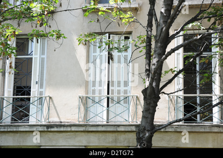 long shuttered georgian style windows, behind trees, balcony, Santiago. Stock Photo