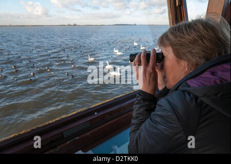 Judith Eales watches the birds at the Wildfowl and Wetlands Trust site at Welney, Norfolk, UK. 1st February 2013. It is World Wetlands day on Saturday 2nd February, an event run since 1997 to promote awareness of the value of wetlands. The Ouse Washes are home to thousands of swans and birds that migrate for the winter. Stock Photo