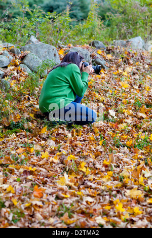 Female photographer crouching in fall leaves to take a picture Stock Photo