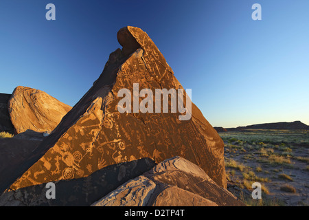 Petroglyphs panel, Petrified Forest National Park, Arizona USA Stock Photo