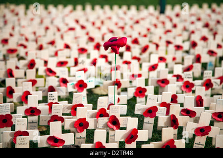 Field of Remembrance, Edinburgh 2012 Stock Photo