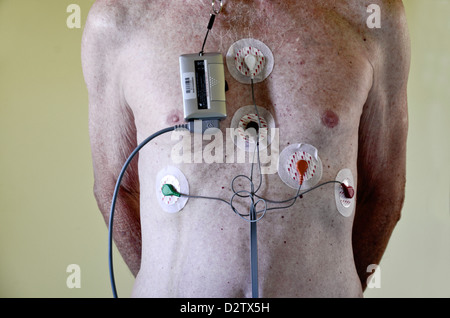 wear os heart monitor