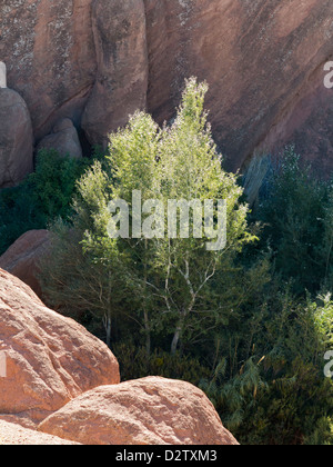 A water course running through a gorge in Valley Du Dades known locally as Monkey feet or Monkey fingers, Morocco, North Africa Stock Photo