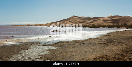 Dayet Srji, the small seasonal lake west of Merzouga filled after torrential spring rainfall, Morocco North Africa Stock Photo
