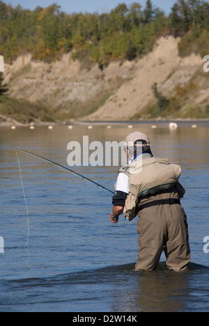 A Fly fisherman sight casting to Brown trout in a tailwater section of the Red Deer, River, Alberta,Canada. Stock Photo