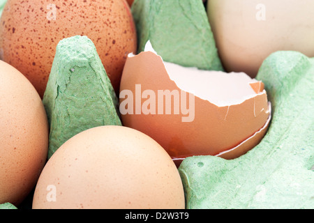 Eggs still in carton, one has been opened. Stock Photo