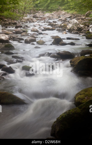Mountain stream cascading down the mountainside, past moss covered rocks, bushes and green trees on both banks Stock Photo