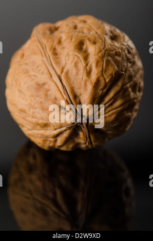 Walnut on black background. Close-up view with selective focus on front.