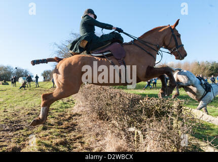 Ingarsby, Leicestershire, UK. Saturday 2nd Feb 2013. Competitors jumping fences during the inaugural running of the Bernard Weatherill Sidesaddle Chase, the first race for sidesaddle riders since 1921. Stock Photo