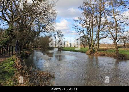 2nd February 2013. Pyrford, Surrey, England, UK. Sun shines on the ruins of Newark Priory. Founded in the 12th Century on the banks of the River Wey and destroyed by King Henry VIII during the dissolution of the monasteries 1538. Stock Photo