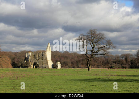 2nd February 2013. Pyrford, Surrey, England, UK. Sun shines on the ruins of Newark Priory. Founded in the 12th Century on the banks of the River Wey and destroyed by King Henry VIII during the dissolution of the monasteries 1538. Stock Photo