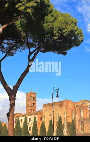 Vertical oriented image of Santa Francesca Romana church and ancient columns in Rome, Italy. Stock Photo