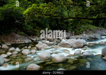 Mossman Gorge, north of Cairns, near Mossman, North Queensland, Australia Stock Photo