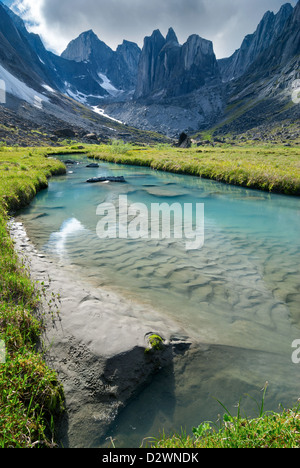 Stream running through Fairy Meadow in the Cirque of the Unclimbables, Northwest Territories, Canada. Stock Photo