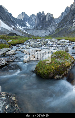 Stream running through Fairy Meadow in the Cirque of the Unclimbables, Northwest Territories, Canada. Stock Photo