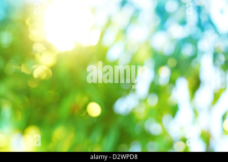 Background blur of nature in spring. Stock Photo