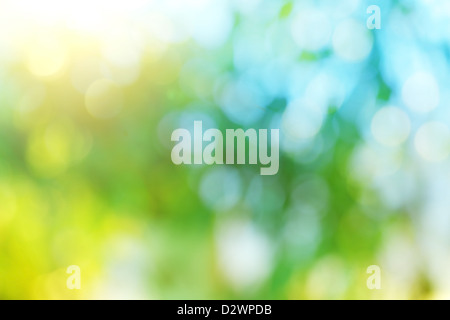 Background blur of nature in spring. Stock Photo