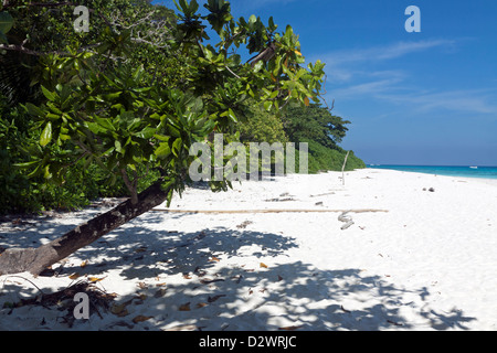 White Powder Beach of Koh Tachai in the Andaman Sea off the Thailand Coast Stock Photo