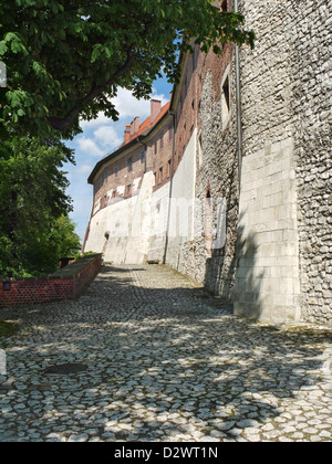 Stone walls of the Royal Wawel Castle, Krakow, Poland Stock Photo