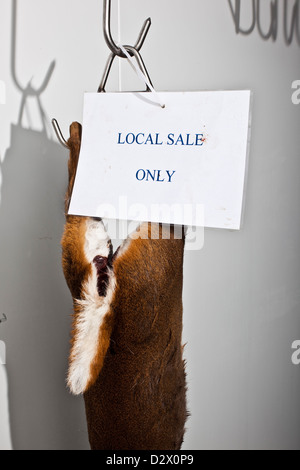 Dead deer hang from hooks in abattoir, Thetford, UK Stock Photo