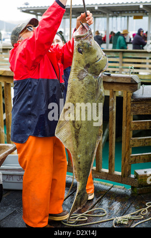 Halibut fishing seward alaska hi-res stock photography and images - Page 2  - Alamy