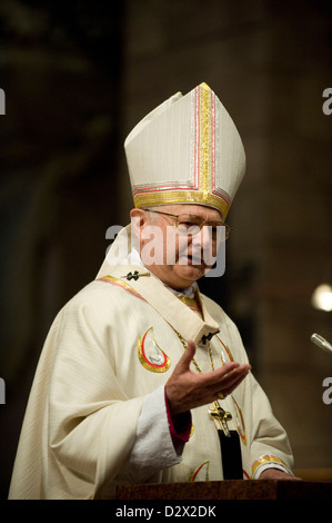 Freiburg, Germany, Archbishop Robert Zollitsch during the ordination Stock Photo