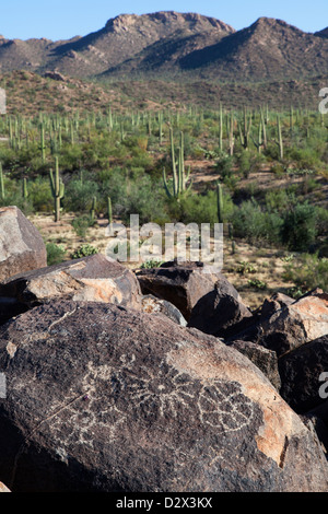 Rock Art in Saguaro N.P, Arizona, USA Stock Photo