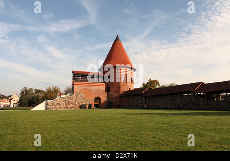 Kaunas Castle in Lithuania Stock Photo