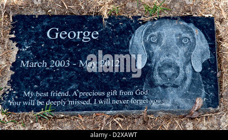 Feb. 03, 2013 - Calabasas, CA, US - Thousands of pets are buried at the Los Angeles Pet Memorial Park.  Some 80% of them are either dogs or cats, but the cemetery also holds the remains of horses, llamas, birds, pot bellied pigs and spider monkeys.  Among the most famous animals interred there are the Lone Ranger's horse 'Silver,' the Little Rascals' dog 'Petey,' and 'Tawny,' MGM's famous lion.(Credit Image: © Brian Cahn/ZUMAPRESS.com) Stock Photo