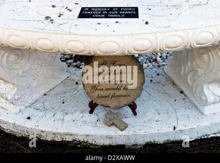 Feb. 03, 2013 - Calabasas, CA, US - Thousands of pets are buried at the Los Angeles Pet Memorial Park.  Some 80% of them are either dogs or cats, but the cemetery also holds the remains of horses, llamas, birds, pot bellied pigs and spider monkeys.  Among the most famous animals interred there are the Lone Ranger's horse 'Silver,' the Little Rascals' dog 'Petey,' and 'Tawny,' MGM's famous lion.(Credit Image: © Brian Cahn/ZUMAPRESS.com) Stock Photo