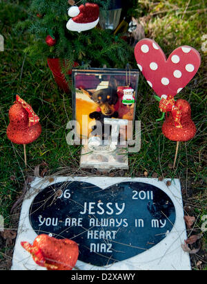 Feb. 03, 2013 - Calabasas, CA, US - Thousands of pets are buried at the Los Angeles Pet Memorial Park.  Some 80% of them are either dogs or cats, but the cemetery also holds the remains of horses, llamas, birds, pot bellied pigs and spider monkeys.  Among the most famous animals interred there are the Lone Ranger's horse 'Silver,' the Little Rascals' dog 'Petey,' and 'Tawny,' MGM's famous lion.(Credit Image: © Brian Cahn/ZUMAPRESS.com) Stock Photo