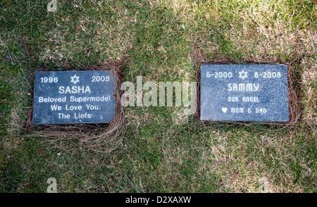 Feb. 03, 2013 - Calabasas, CA, US -  Thousands of pets are buried at the Los Angeles Pet Memorial Park  Approximately 80% are either dogs or cats, but the cemetery also holds the remains of horses, llamas, birds, pot bellied pigs and spider monkeys.  Among the most famous animals interred there are the Lone Ranger's horse 'Silver,' the Little Rascals' dog 'Petey,' and 'Tawny,' MGM's famous lion.(Credit Image: © Brian Cahn/ZUMAPRESS.com) Stock Photo