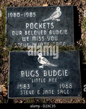 Feb. 03, 2013 - Calabasas, CA, US -  Thousands of pets are buried at the Los Angeles Pet Memorial Park.  Approximately 80% are either dogs or cats, but the cemetery also holds the remains of horses, llamas, birds, pot bellied pigs and spider monkeys.  Among the most famous animals interred there are the Lone Ranger's horse 'Silver,' the Little Rascals' dog 'Petey,' and 'Tawny,' MGM's famous lion.(Credit Image: © Brian Cahn/ZUMAPRESS.com) Stock Photo