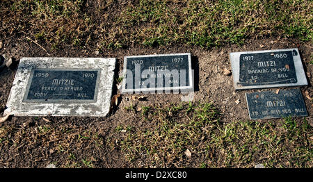 Feb. 03, 2013 - Calabasas, CA, US -  Thousands of pets are buried at the Los Angeles Pet Memorial Park.  Approximately 80% are either dogs or cats, but the cemetery also holds the remains of horses, llamas, birds, pot bellied pigs and spider monkeys.  Among the most famous animals interred there are the Lone Ranger's horse 'Silver,' the Little Rascals' dog 'Petey,' and 'Tawny,' MGM's famous lion.(Credit Image: © Brian Cahn/ZUMAPRESS.com) Stock Photo