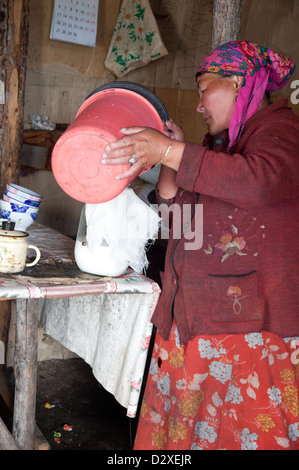 The woman at the camp prepares koumiss in the traditional way Stock Photo