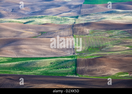 Aerial view of fields Stock Photo