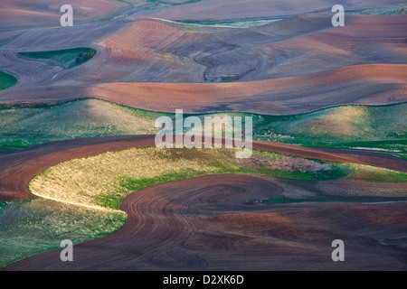 Aerial view of rolling landscape Stock Photo