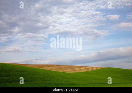 Clouds in blue sky over rolling hillside Stock Photo